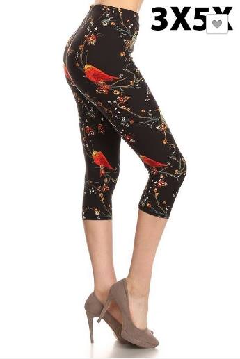 Bird Extra Plus 3x-5x - Keene's