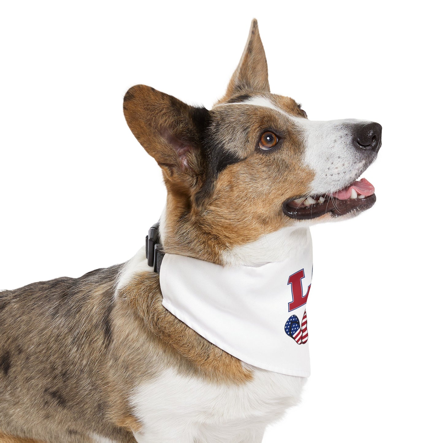 Love America Pet Bandana Collar