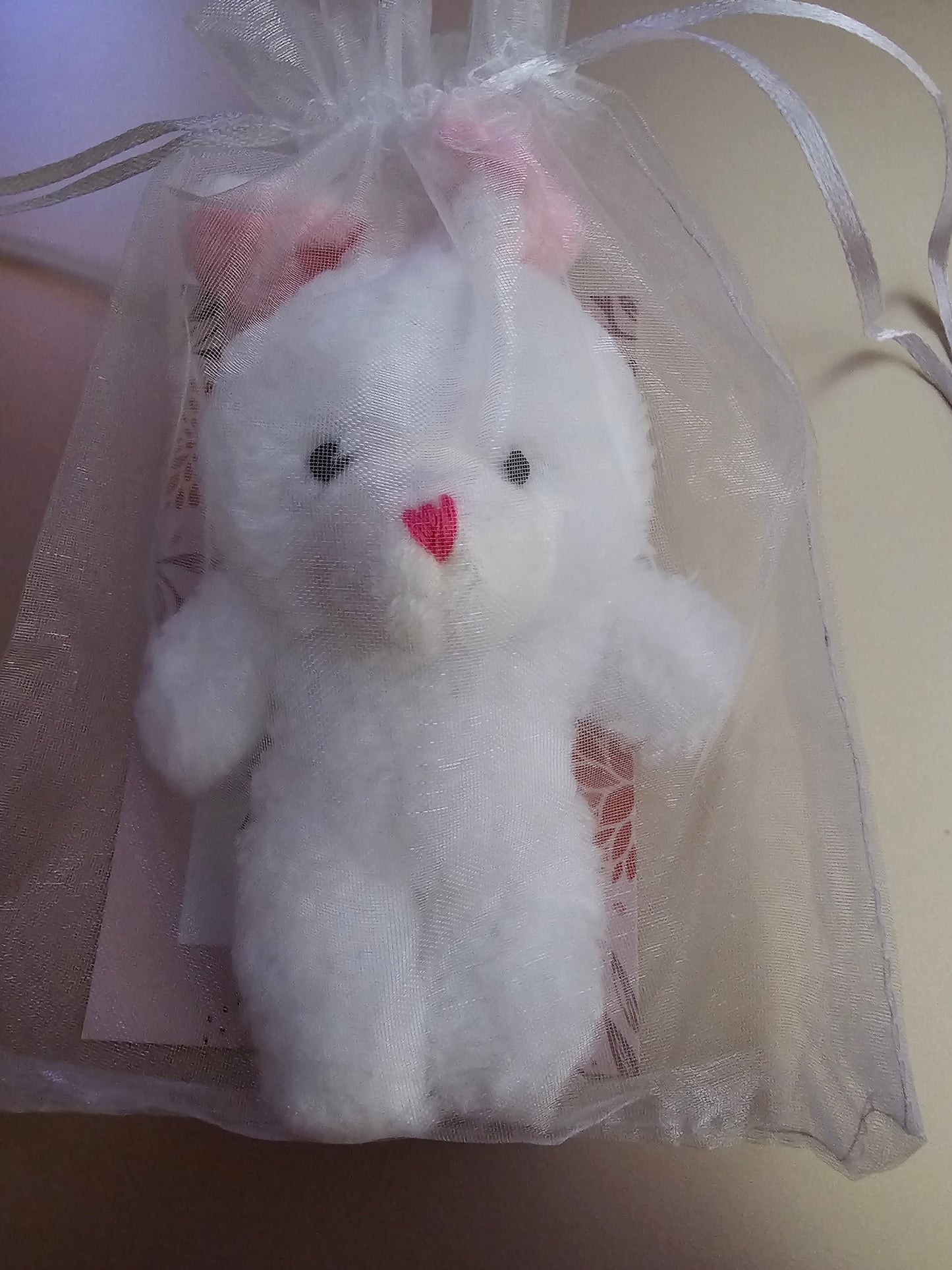 White Bunny Gift Keychain, Hug Card and Gift Bag