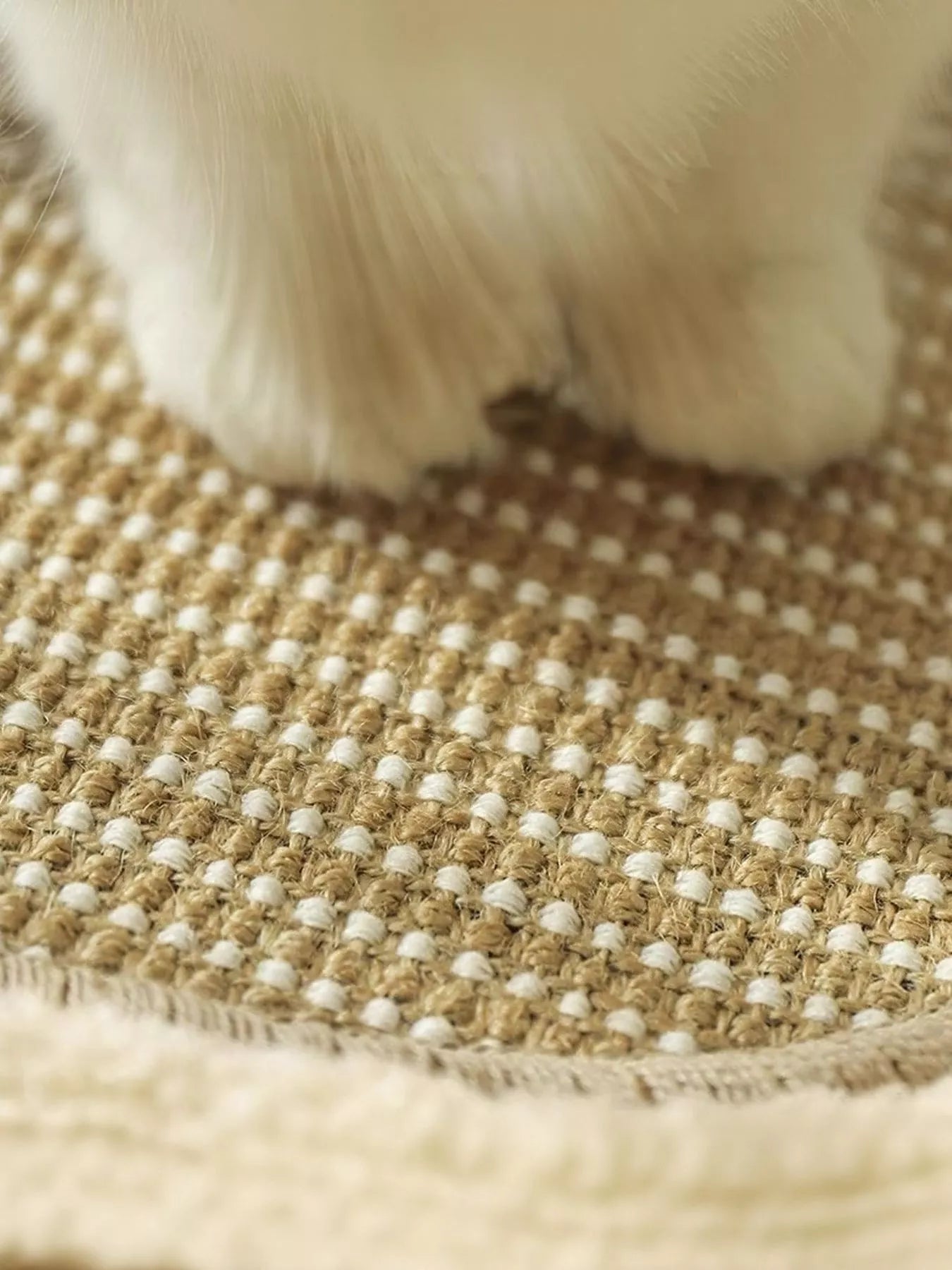 54a79c00-ac76-42e9-8fa9-0b77b8d571a7-Max-Origin