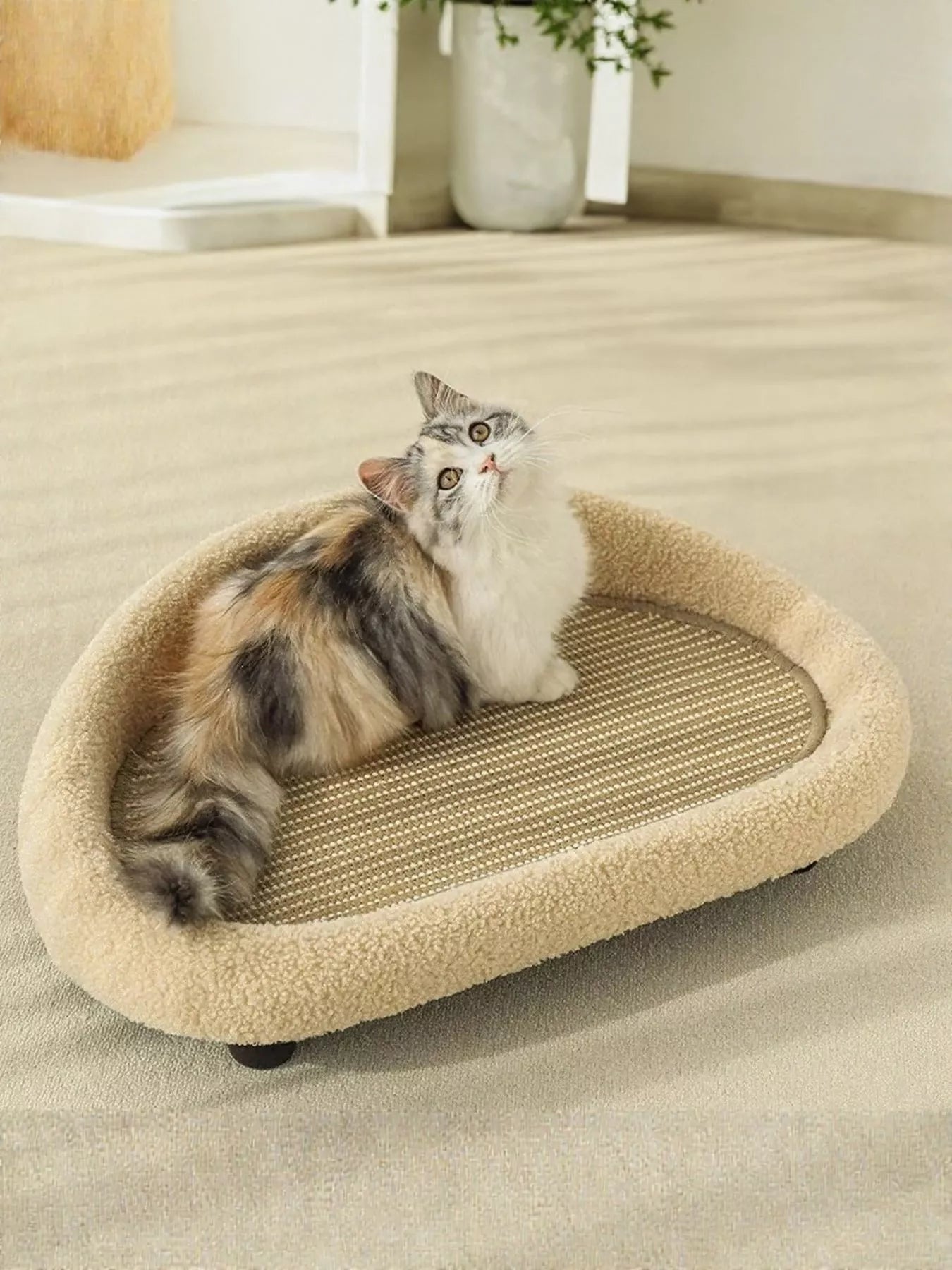 dd1a9763-b021-4f71-bc81-50c34db31a75-Max-Origin