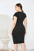 Plus Size Mesh Detail Midi Dress - Keene's