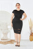 Plus Size Mesh Detail Midi Dress - Keene's